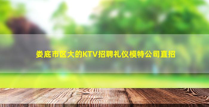 娄底市区大的KTV招聘礼仪模特公司直招